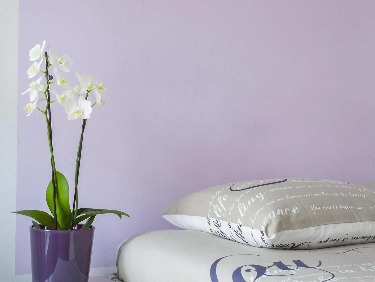 Kuwadro Guesthouse Centrum Amsterdam Pays-Bas